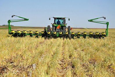 No-till agriculture method keeps stubble on the ground and helps prevent soil erosion